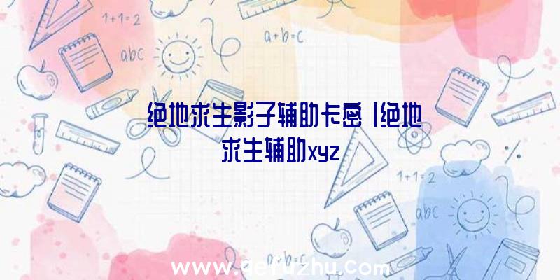 「绝地求生影子辅助卡密」|绝地求生辅助xyz